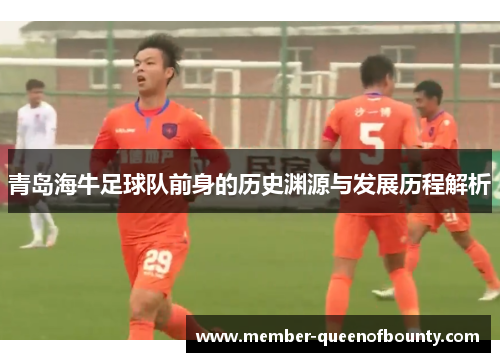 青岛海牛足球队前身的历史渊源与发展历程解析