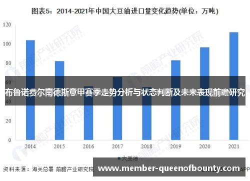 布鲁诺费尔南德斯意甲赛季走势分析与状态判断及未来表现前瞻研究 布鲁诺费尔南德斯意甲赛季走势分析与状态判断及未来表现前瞻研究